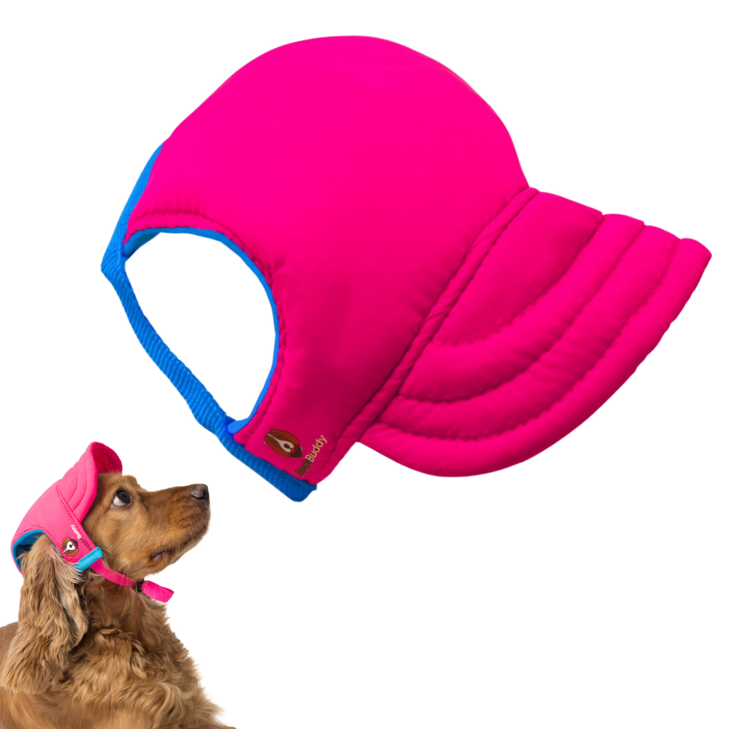 alt="gorra para perros BeagleBuddy referencia "FUCSIA"