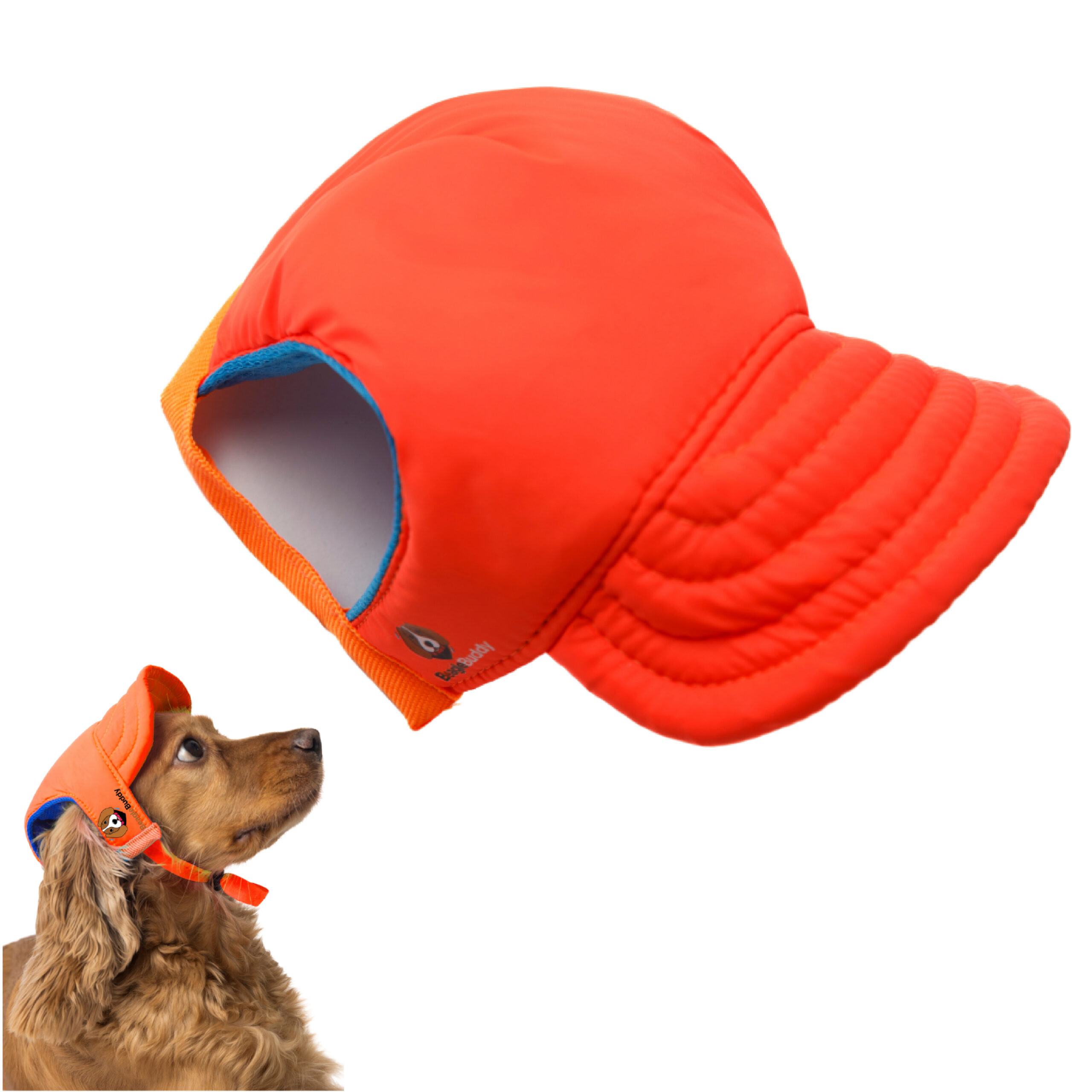 alt="gorra para perros BeagleBuddy referencia "NARANJA"