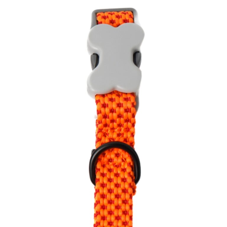 Naranja / Rojo unicolor