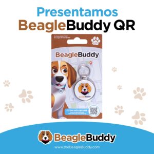 alt="Presentación de las placas para perros BeagleBuddy QR en su empaque original"