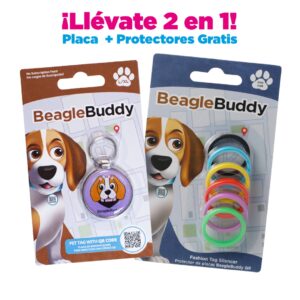 alt="Placa de identificación para perros BeagleBuddy referencia muppy color lila con código QR y protectores gratis"