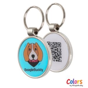 Placa Logan Turquesa