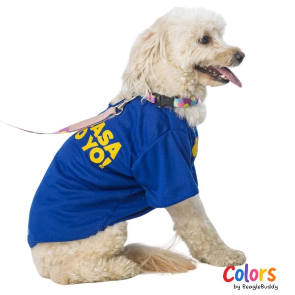 Camiseta Azul MANDO YO