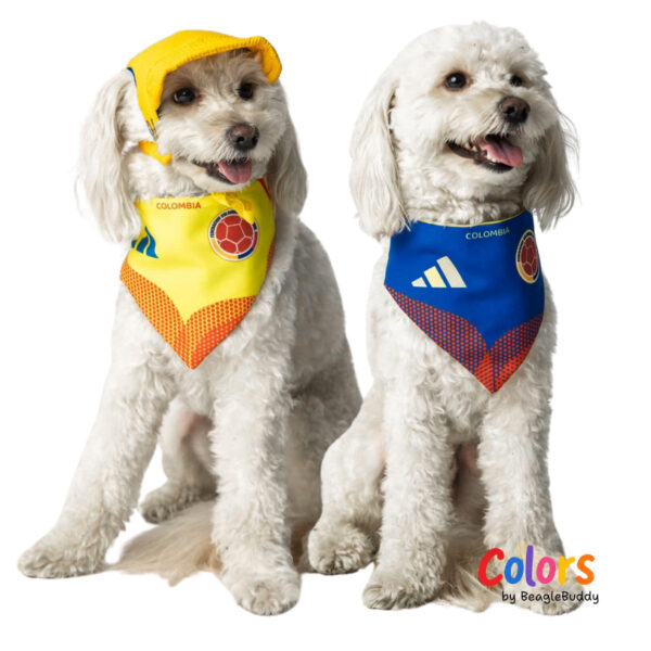 Pañoleta Selección