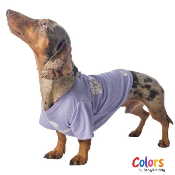 Camiseta Lila MANDO YO