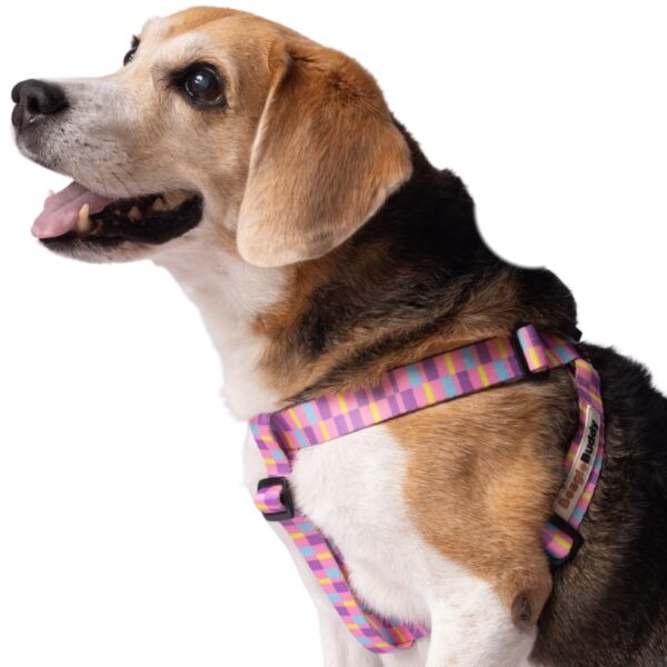 Arnés "Tipo Y" Ref. CANDY