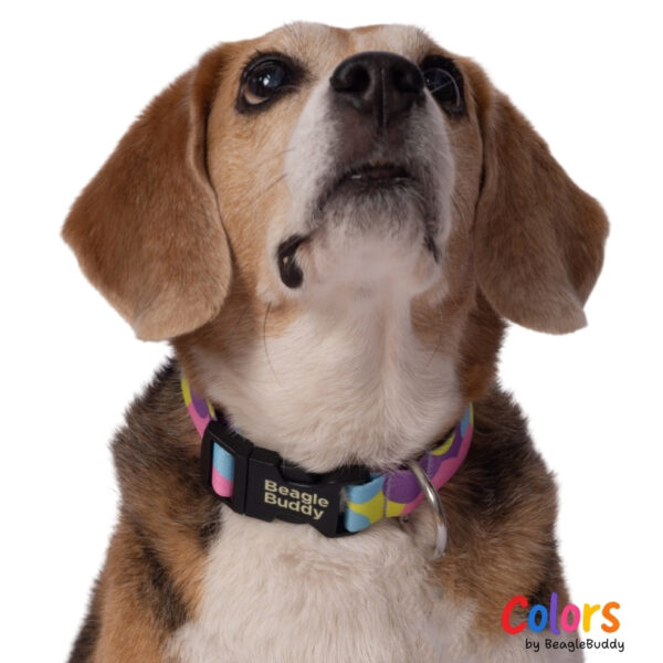 Collar en reata Ref. LUNA