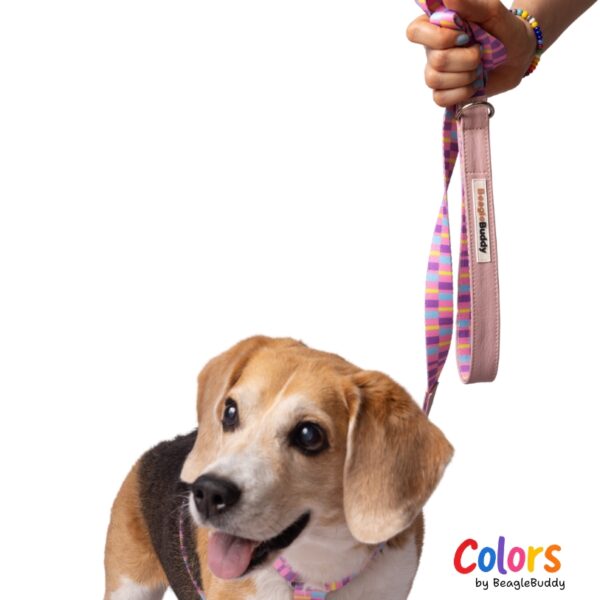 Correa en cuero vegano y reata Ref. CANDY