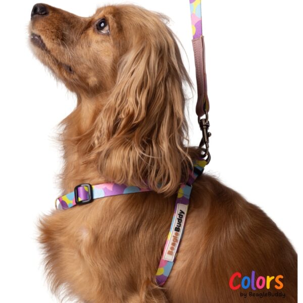 Arnés "Tipo Y" Ref. LUNA