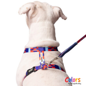 Arnés "tipo H" Ref. CHISPA