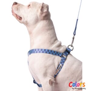 Arnes "Tipo Y" Ref. BRISA