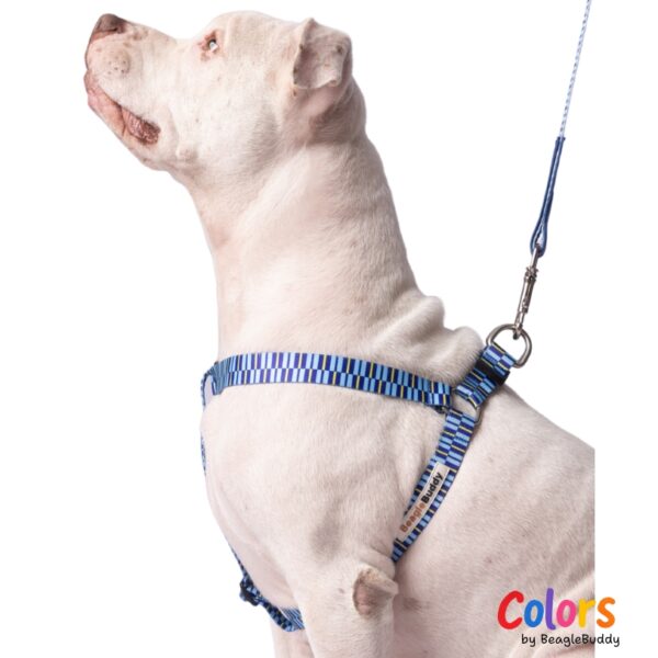 Arnes "Tipo Y" Ref. BRISA