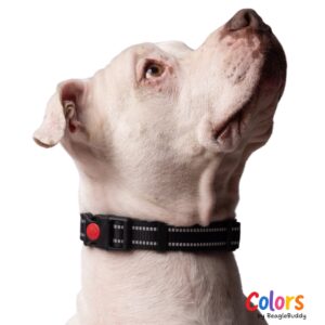 Collar Reflectivo Negro
