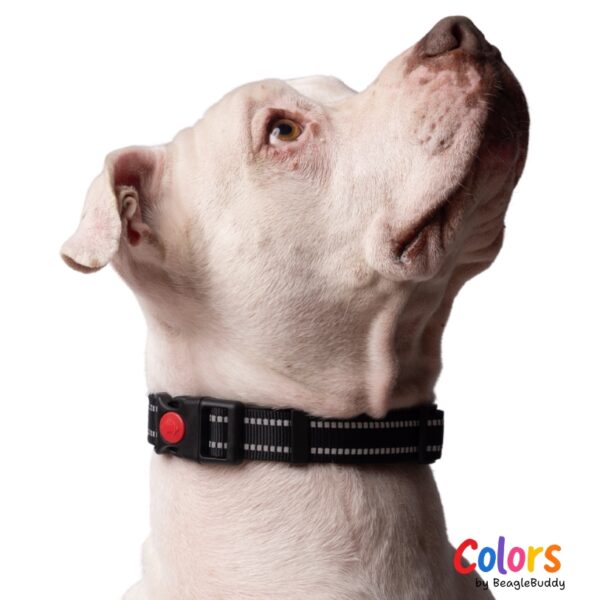 Collar Reflectivo Negro