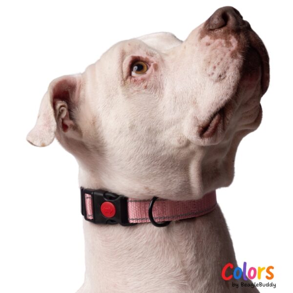 Collar Reflectivo Rosado
