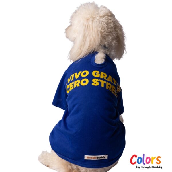 Camiseta Azul VIVO GRATIS